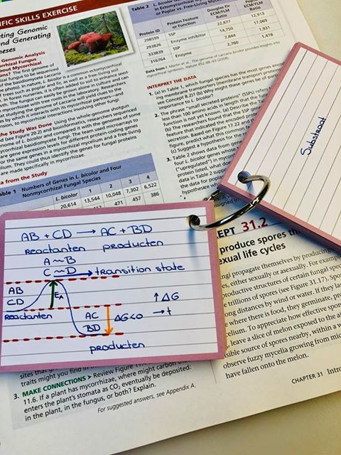 Flash cards as an effective study strategy … – Love To Teach